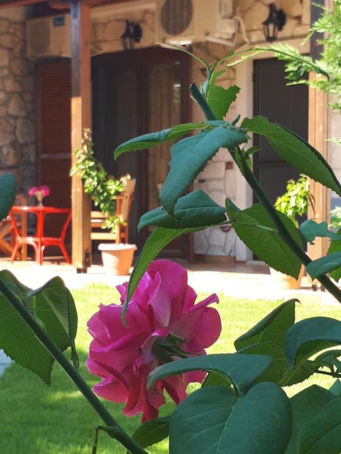 Villa George Afytos Bagian luar foto