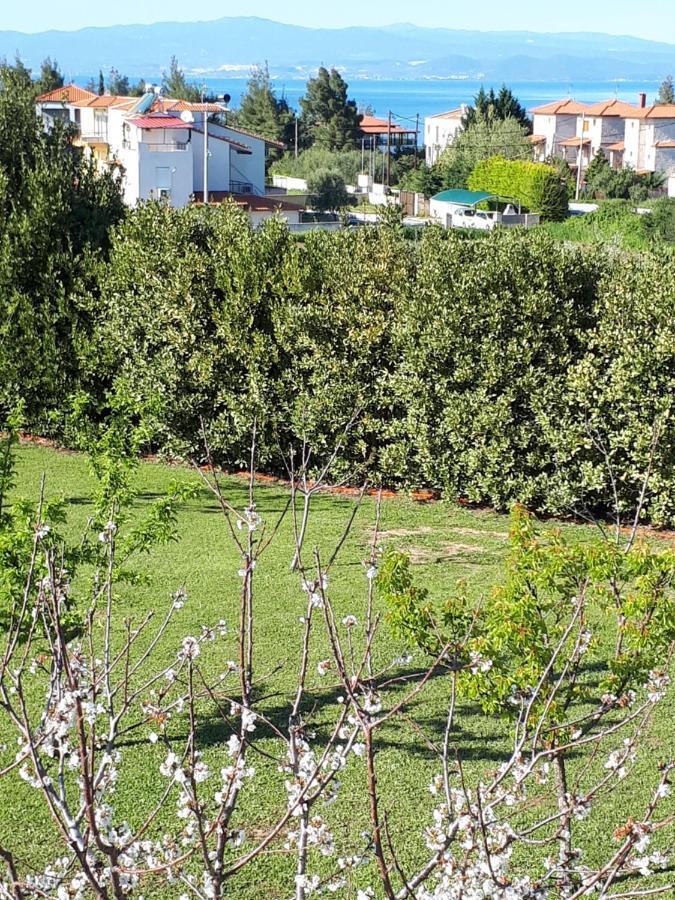Villa George Afytos Bagian luar foto