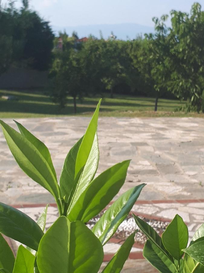 Villa George Afytos Bagian luar foto