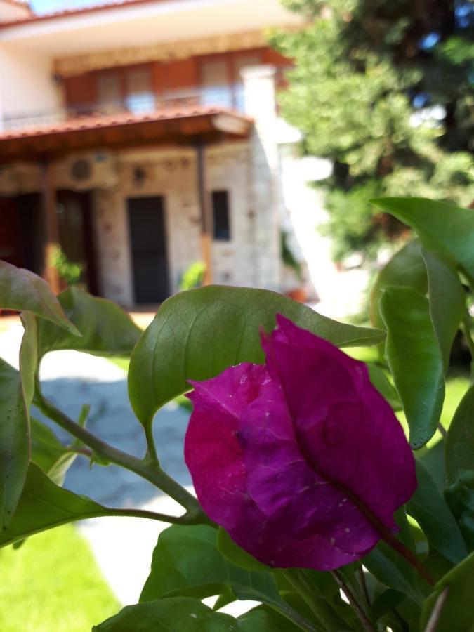 Villa George Afytos Bagian luar foto
